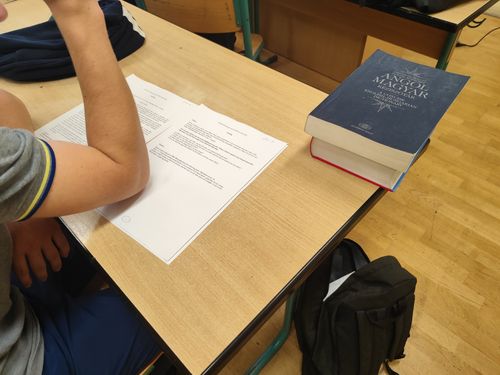 Próbanyelvvizsga eredmények